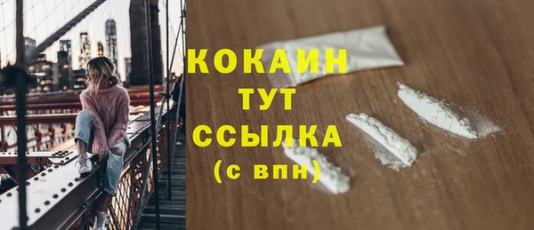 mdpv Каменногорск