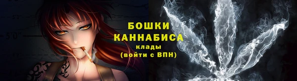 mdpv Каменногорск