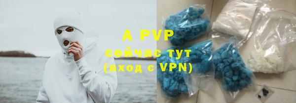 mdpv Каменногорск
