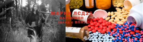 mdpv Каменногорск